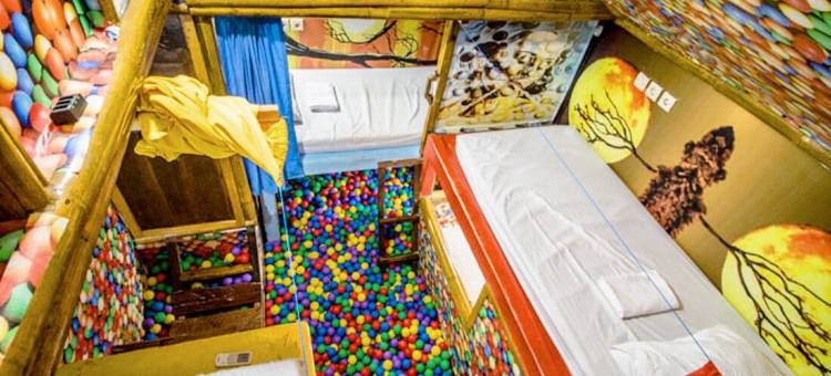 小兔子树旅舍(The Rabbit Tree Hostel)图片
