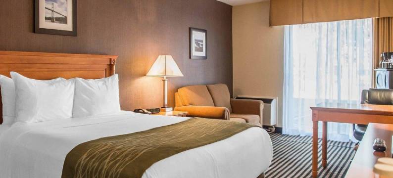 舒适酒店(Comfort Inn)图片