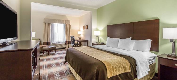 舒适酒店-莱星顿南(Comfort Inn Lexington South)图片