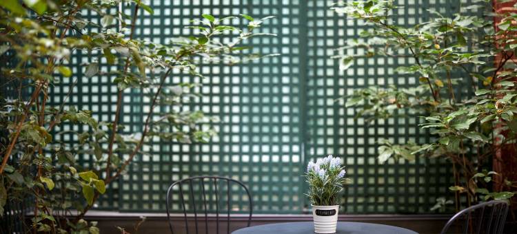 巴黎之羽酒店(近7号线Cadet地铁站)(Les Plumes Hotel)图片