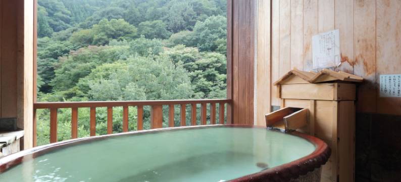 金盛馆Seseragi日式旅馆(Kinseikan Seseragi)图片