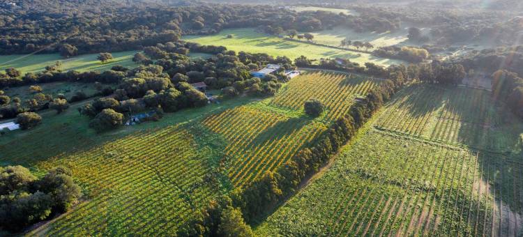 霍卡罗卡的佩雷蒂庄园(Domaine de Peretti Della Rocca)图片