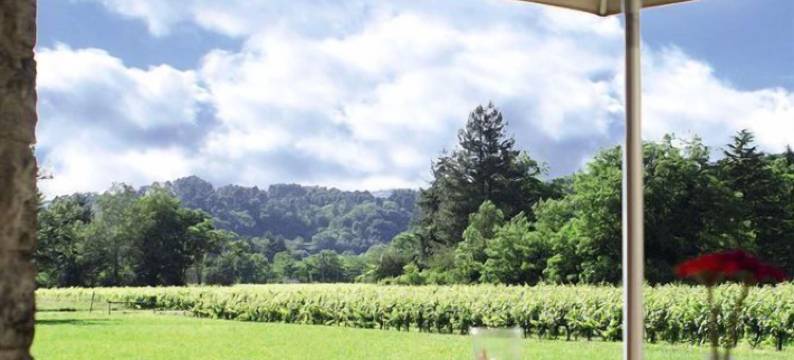 尚博纳 - 莱斯旺法义公寓式酒店(Terres de France - Domaine des Vans)图片