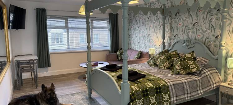 特拉斯房间(Traeth Rooms)图片