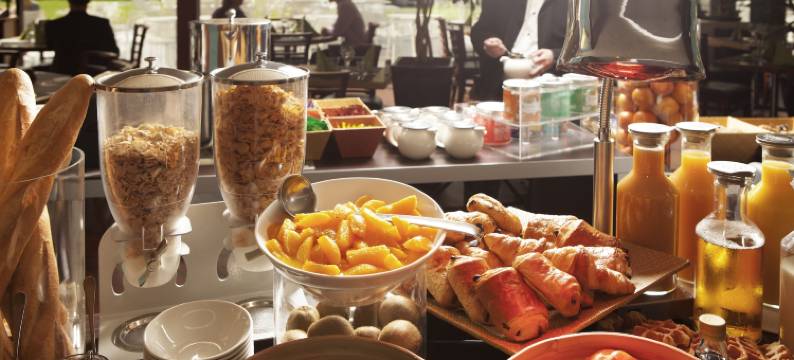 波城比利牛斯诺富特酒店(Novotel Pau Pyrénées)图片