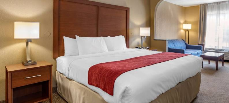 比尔特莫尔西舒适酒店(Comfort Inn Biltmore West)图片