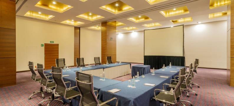 佩德雷加尔卡米诺里尔酒店(Camino Real Pedregal Mexico)图片