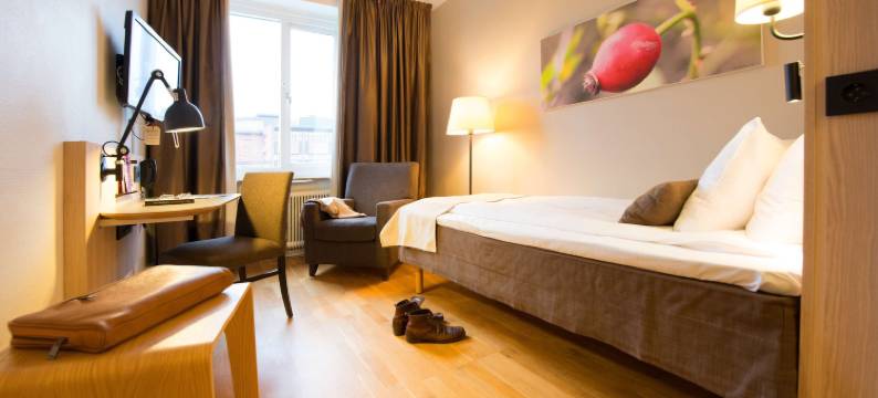 斯堪迪克比尔灵根酒店(Scandic Billingen)图片