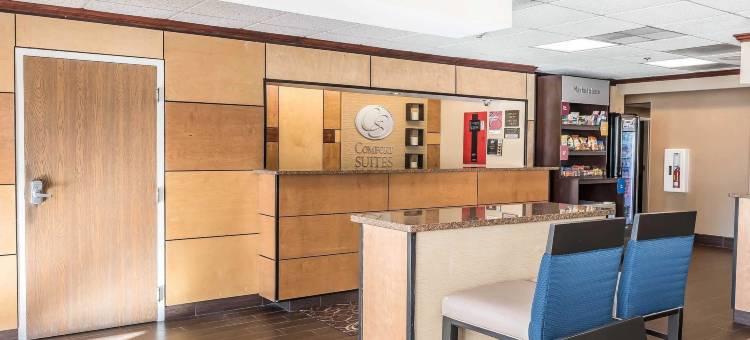 梅森舒适套房酒店-近国王岛(Comfort Suites Mason Near Kings Island)图片