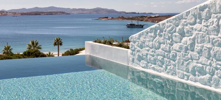 帕罗斯阿格南提 Spa 度假村酒店(Paros Agnanti Resort & Spa)图片