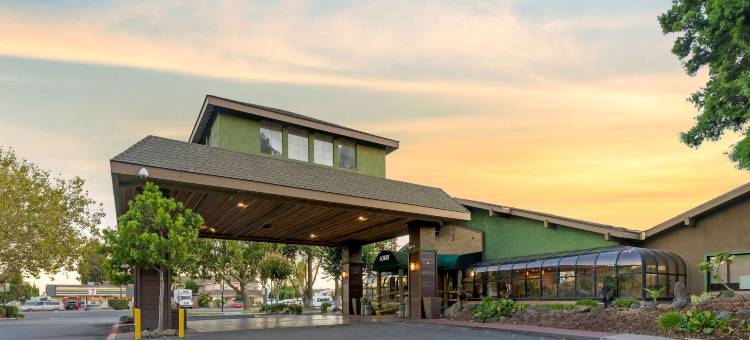 森林公园贝斯特韦斯特优质酒店(Best Western Plus Forest Park Inn)图片