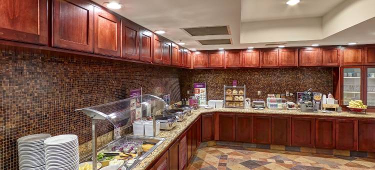 明尼阿波利斯普利茅斯 Residence Inn 酒店(Residence Inn Minneapolis Plymouth)图片