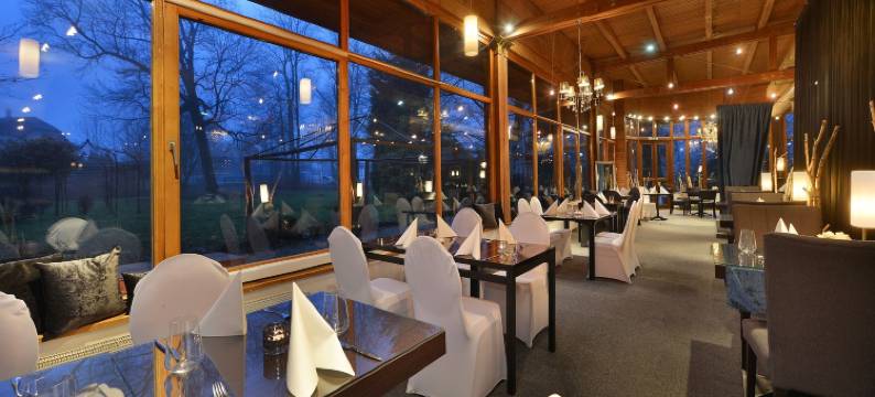 博尔诺维莫里斯公园酒店(Parkhotel Morris Novy Bor)图片