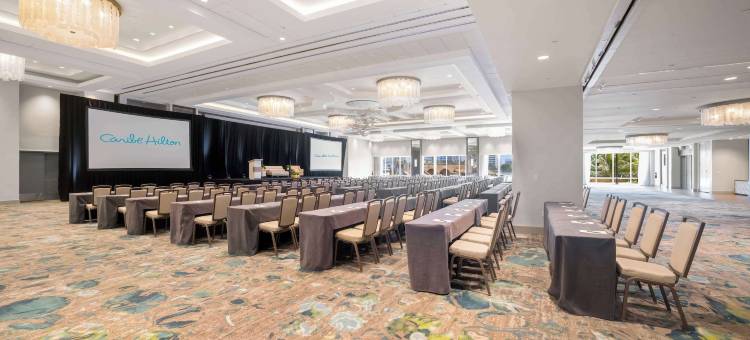 加勒比希尔顿酒店(Caribe Hilton)图片