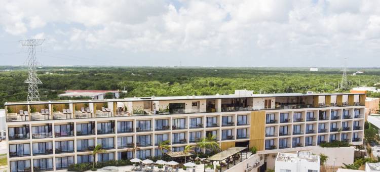 Hive Cancun by G Hotels图片