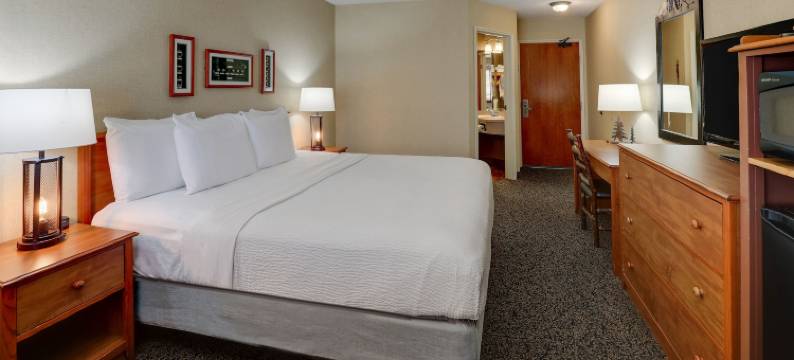 加利纳斯托尼溪酒店(Stoney Creek Lnn Galena)图片