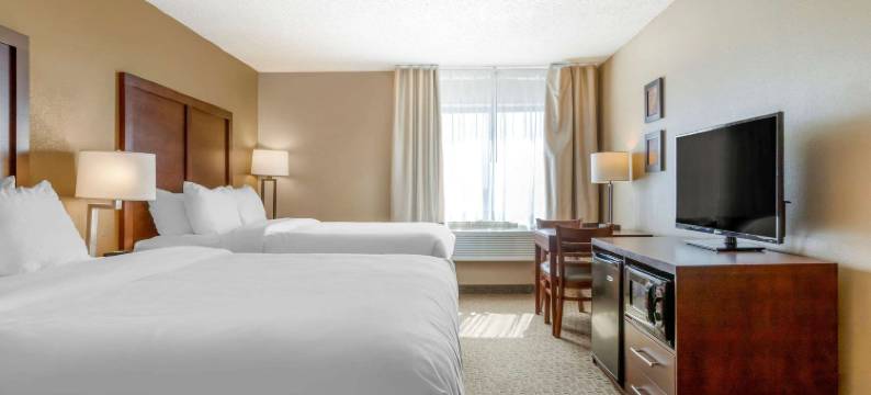 舒适酒店(Comfort Inn)图片