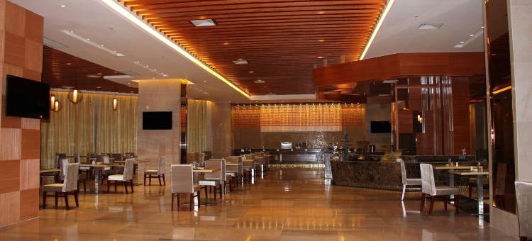 马普托阿菲克格洛里亚酒店(Maputo AFECC Gloria Hotel)图片