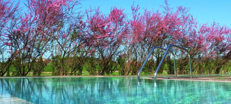 玛尔孔滕塔酒店(Hotel la Malcontenta)图片