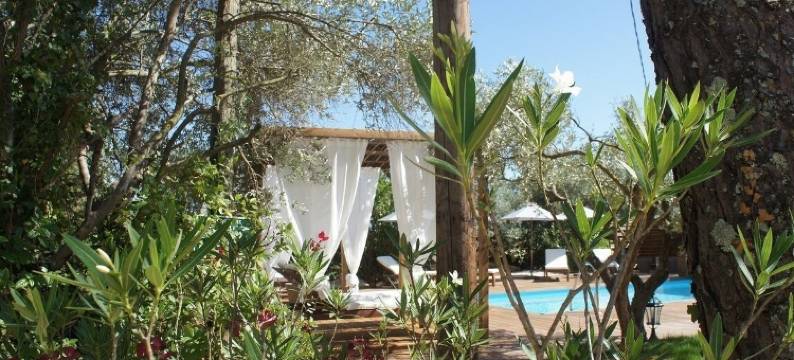 科蒂尼亚勒玛斯旅馆(Guesthouse le Mas de Cotignac)图片