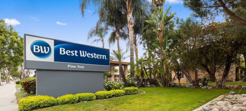 松树贝斯特韦斯特酒店(Best Western Pine Tree Motel)图片