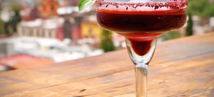 帕罗玛酒店(Hotel Boutique El Palomar)图片