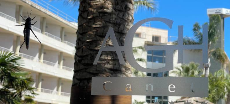 AGH卡内特酒店(AGH Canet)图片