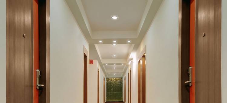 新德里旁普什招待所(The Pamposh Hotel)图片