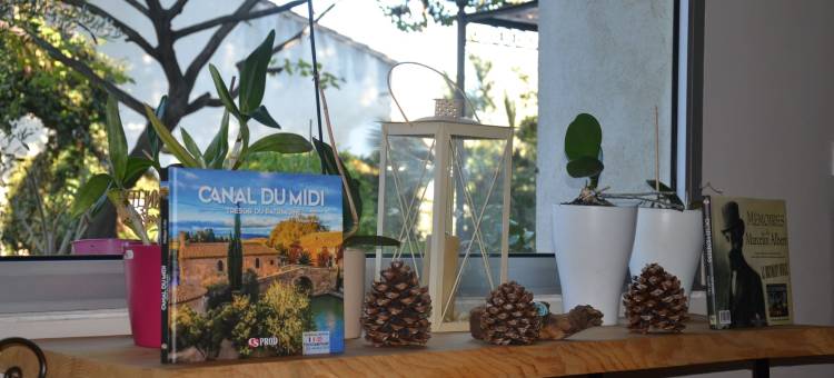 勒科利布里布鲁酒店(Le Colibri Bleu)图片