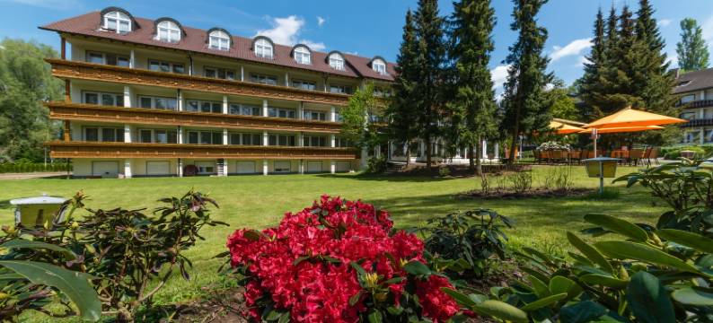 公园酒店(Parkhotel)图片