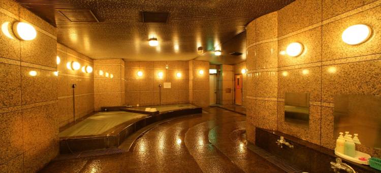 柯丽格亚广场酒店(Hotel Kajigaya Plaza)图片