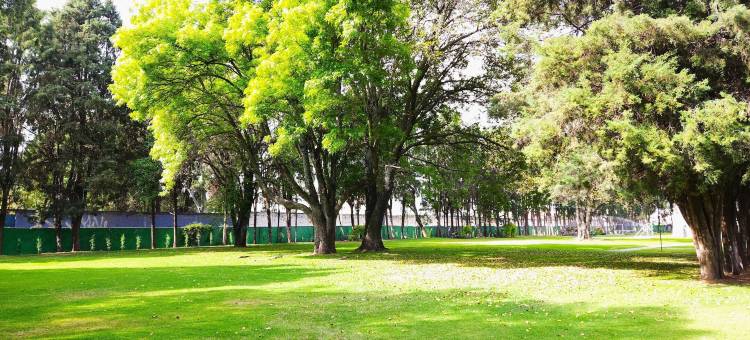 乔卢拉考古别墅酒店(Villas Arqueologicas Cholula)图片