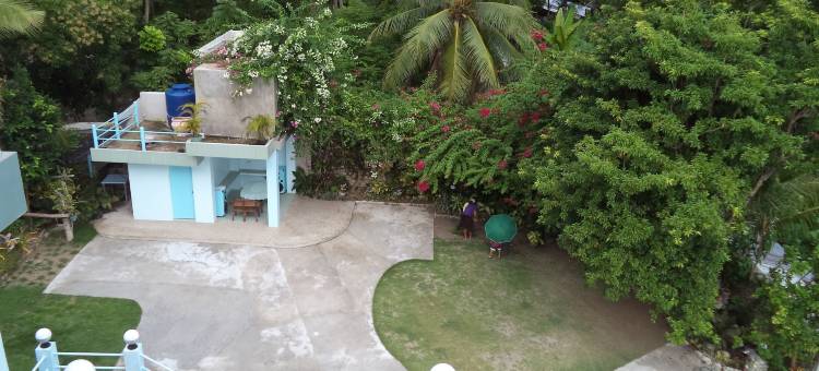 高台阶别墅(High Steps Pension)图片