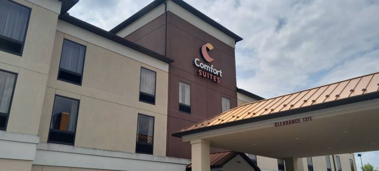 舒适套房酒店(Comfort Suites)图片