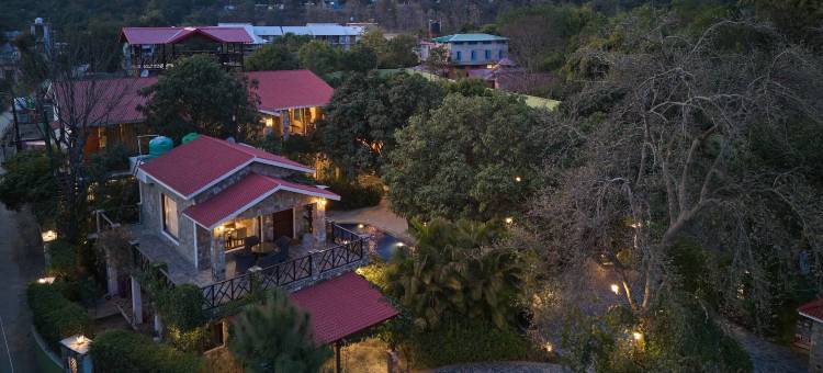 生命之树Vanvilas Riveredge(Tree of Life Vanvilas Riveredge Corbett)图片