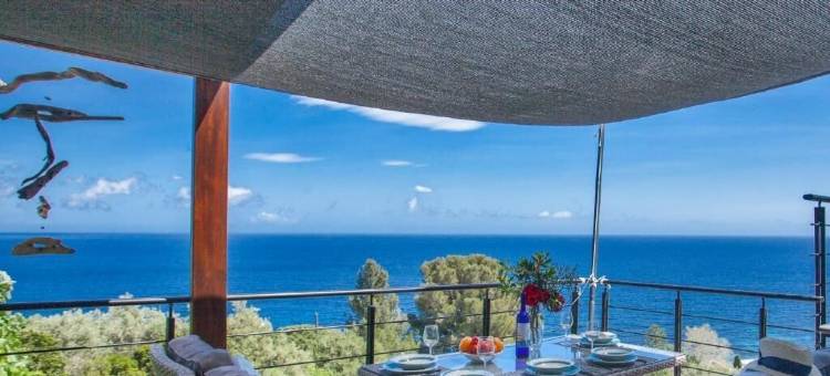 维塔诺瓦(Vita Nova)图片