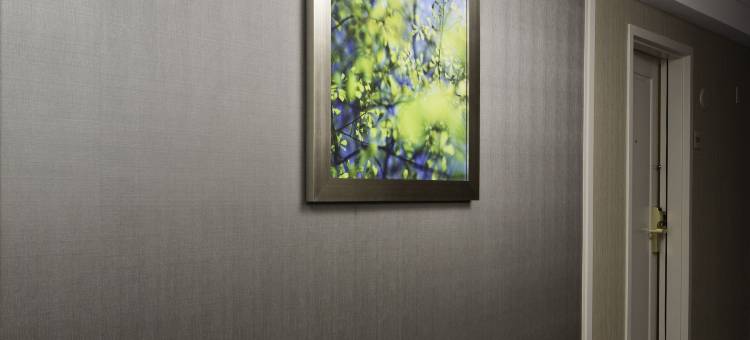 匹兹堡绿树希尔顿逸林酒店(DoubleTree by Hilton Hotel Pittsburgh - Green Tree)图片