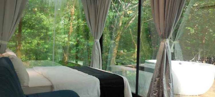 时间胶囊酒店(Time Capsule Retreat, Sungai Lembing)图片