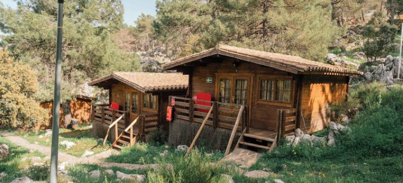 塔霍罗迪略露营地(Camping TajoRodillo)图片