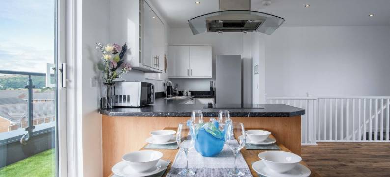 天际线复式顶层公寓 - 拉内利(Skyline Duplex Penthouse - Llanelli)图片