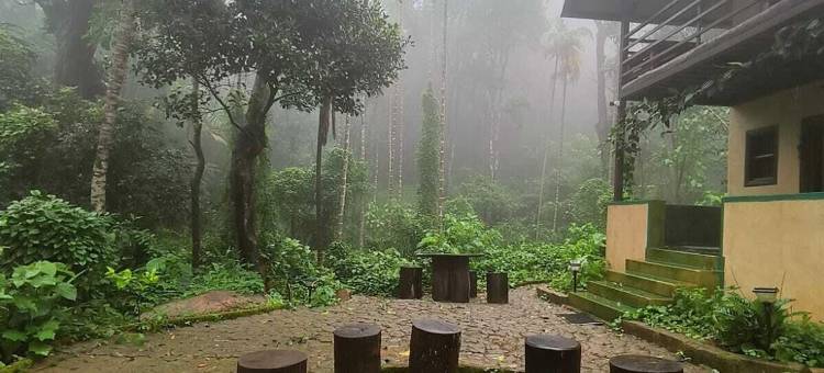 卡蒂卡杜(KaatiKaadu)图片