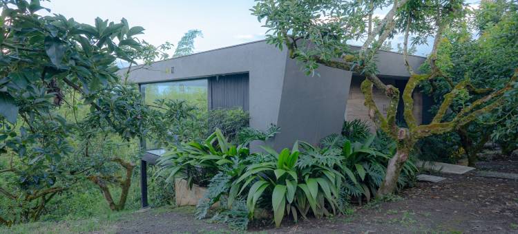 帕尔塔生态天堂酒店(Palta Eco Haven Hotel)图片