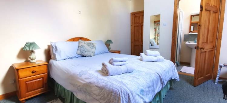 Gorgeous spacious cottage in pretty garden setting in Sunny South East Ireland!图片