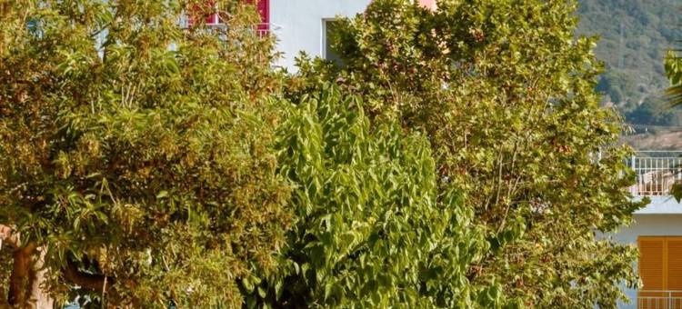 贝尔索尔青年旅舍(Hostal Bellsol)图片