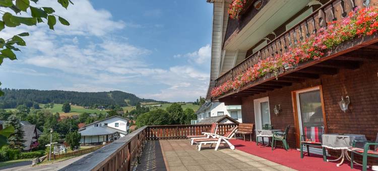 斯尔博迪斯特尔酒店(Hotel Silberdistel)图片