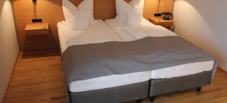 斯塔德巴林根酒店(Hotel Stadt Balingen)图片