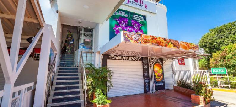 Ayenda兰花19(Ayenda Orquidea 19)图片