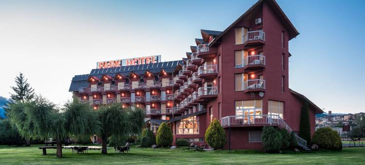 普奇塞达公园酒店(Puigcerda Park Hotel)图片