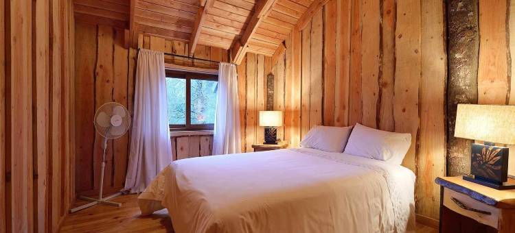 回罗回罗山林小屋(Huilo Huilo Cabañas del Bosque)图片
