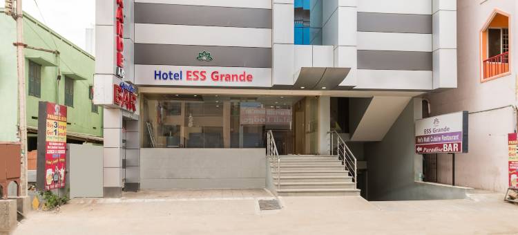 Treebo Ess Grande图片